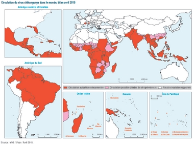 Carte Du Chikungunya Dans Le Monde Vigilance Moustiques