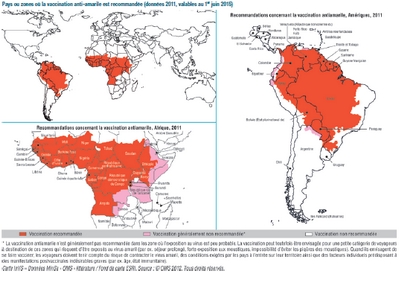 carte du paludisme dans le monde Carte du paludisme dans le monde   Vigilance   Moustiques