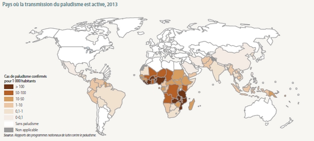 Carte Du Paludisme Dans Le Monde Vigilance Moustiques