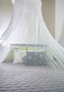 Mosquito netting over a bed