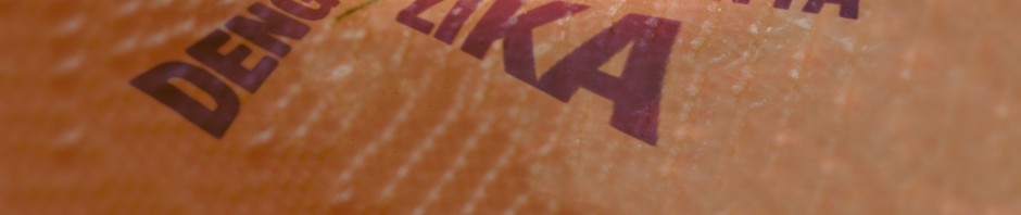 Virus Zika : Le 3ème virus dont le moustique Tigre est vecteur potentiel