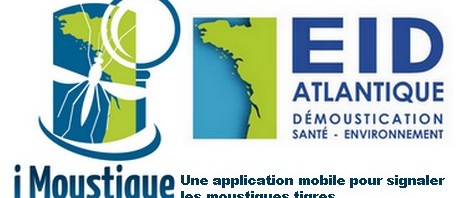 iMoustique, une application mobile pour signaler les moustiques tigres