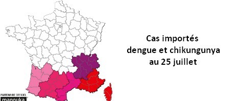 Cas importés de dengue et de chikungunya en France métropolitaine : la situation au 25 juillet