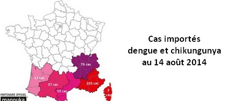 Cas importés de dengue et de chikungunya en France : la situation au 14 août