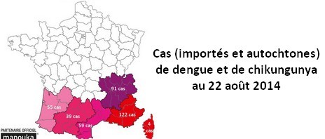 Cas (importés et autochtones) de dengue et de chikungunya : la situation au 22 août 2014
