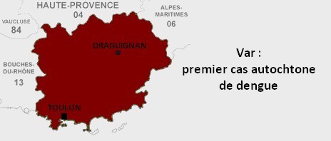 Dengue : 1 cas autochtone dans le Var