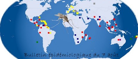 Bulletin épidémiologique du 7 août 2014