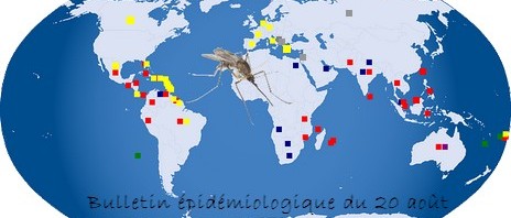 Bulletin épidémiologique du 20 août