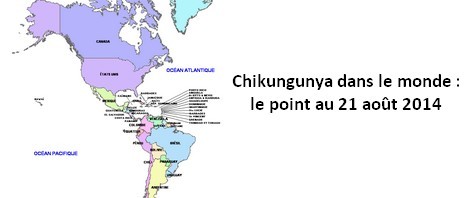 Chikungunya dans le monde : le point au 21 août 2014