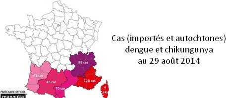 Cas (importés et autochtones) de dengue et de chikungunya : la situation au 29 août