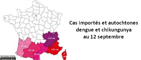 Cas (importés et autochtones) de dengue et de chikungunya : la situation au 12 septembre