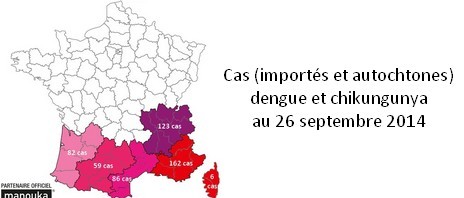 Cas (importés et autochtones) de dengue et de chikungunya en France métropolitaine : la situation au 26 septembre