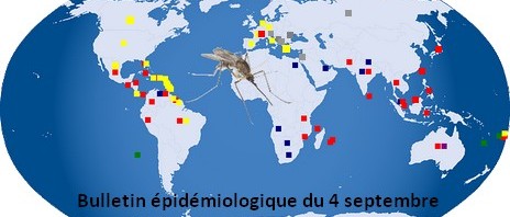 Bulletin épidémiologique du 4 septembre