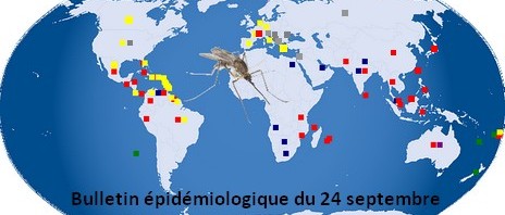 Bulletin épidémiologique du 24 septembre