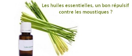 Les huiles essentielles, un bon répulsif contre les moustiques ?