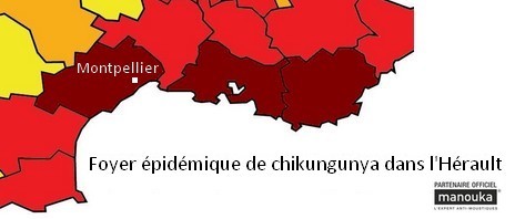 Foyer épidémique de chikungunya dans l’Hérault : le département passe en alerte pourpre