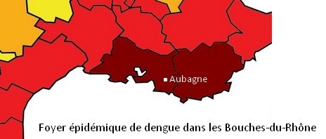 Foyer épidémique de dengue dans les Bouches-du-Rhône : le département passe en alerte pourpre