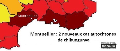Montpellier : 2 nouveaux cas autochtones de chikungunya