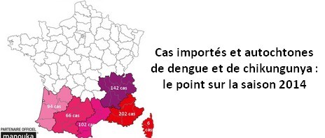 Cas (importés et autochtones) de dengue et de chikungunya : le point sur la saison 2014
