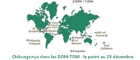 Chikungunya dans les DOM-TOM : le point au 29 décembre