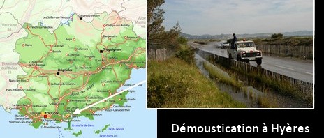 Opération de démoustication à Hyères