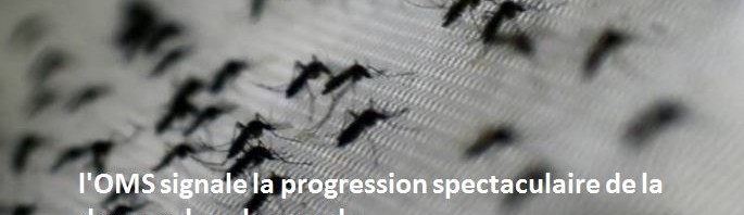 L’OMS signale la progression spectaculaire de la dengue dans le monde.