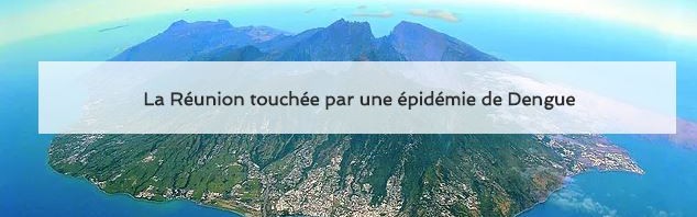 La réunion touchée par une épidémie de Dengue