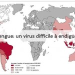 dengue un virus difficile à endiguer Vigilance Moustiques